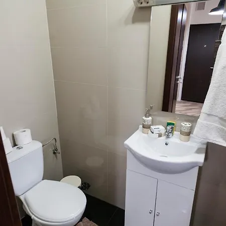 Self Checkin Fully Equipped Διαμέρισμα Τιμισοάρα